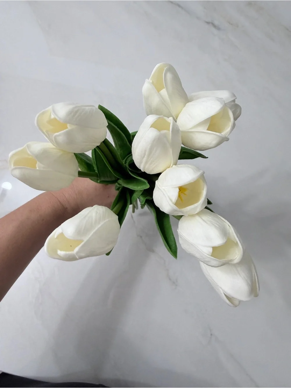 White Tulips